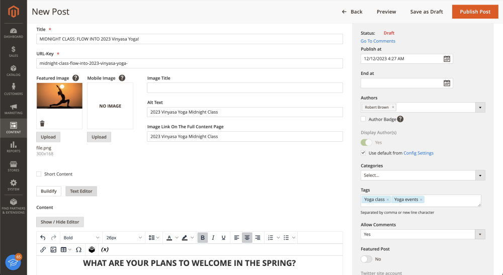 Editig post | Blog for Magento 2