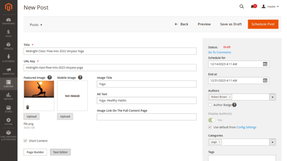 Configure the post | Blog for Magento 2