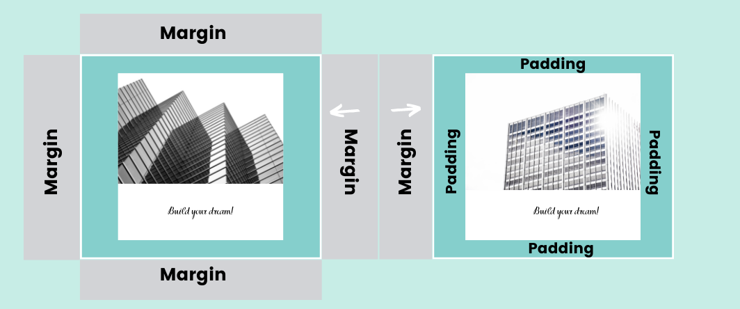 difference between margin and padding