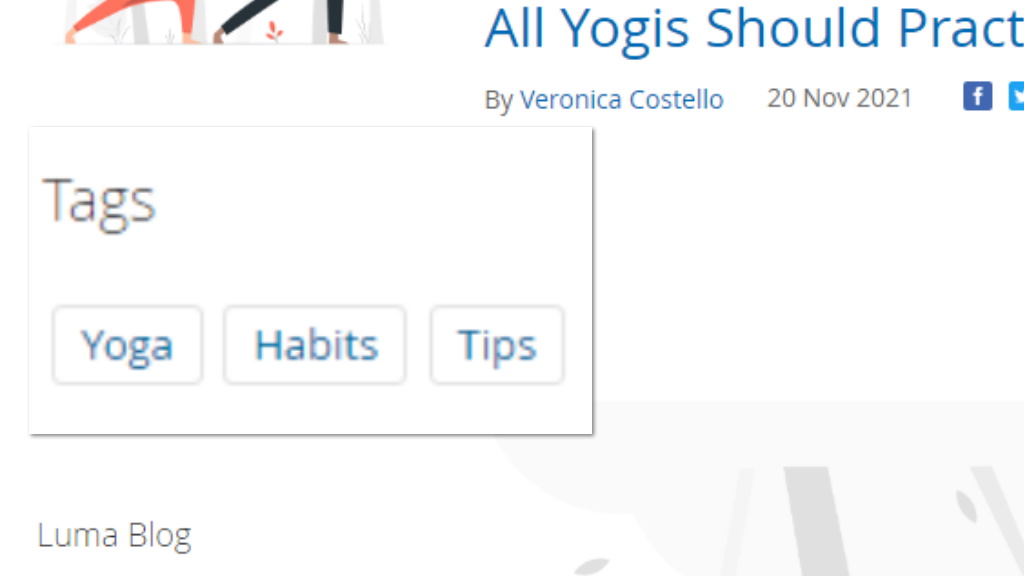 Tags for post | Blog for Magento 2