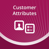 Magento Customer Attributes