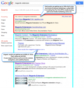 Organic and Paid search results