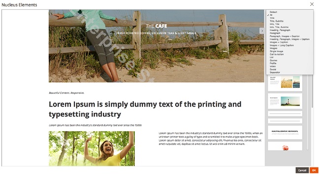 Nucleus Elements Backend Content Editing Nucleus Elements Backend Content Editing