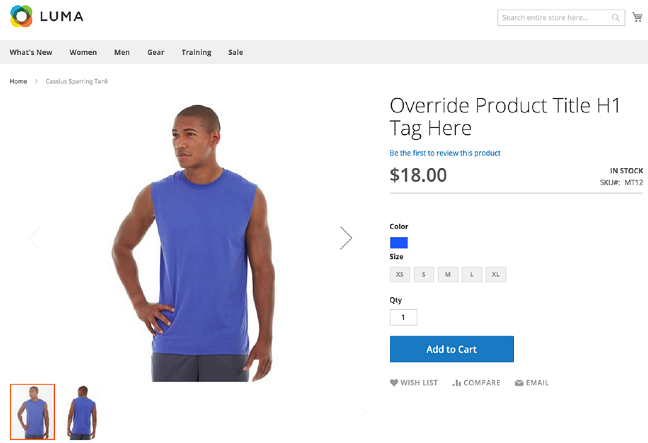Overriding H1 Tags on Product Pages Overriding H1 Tags on Product Pages