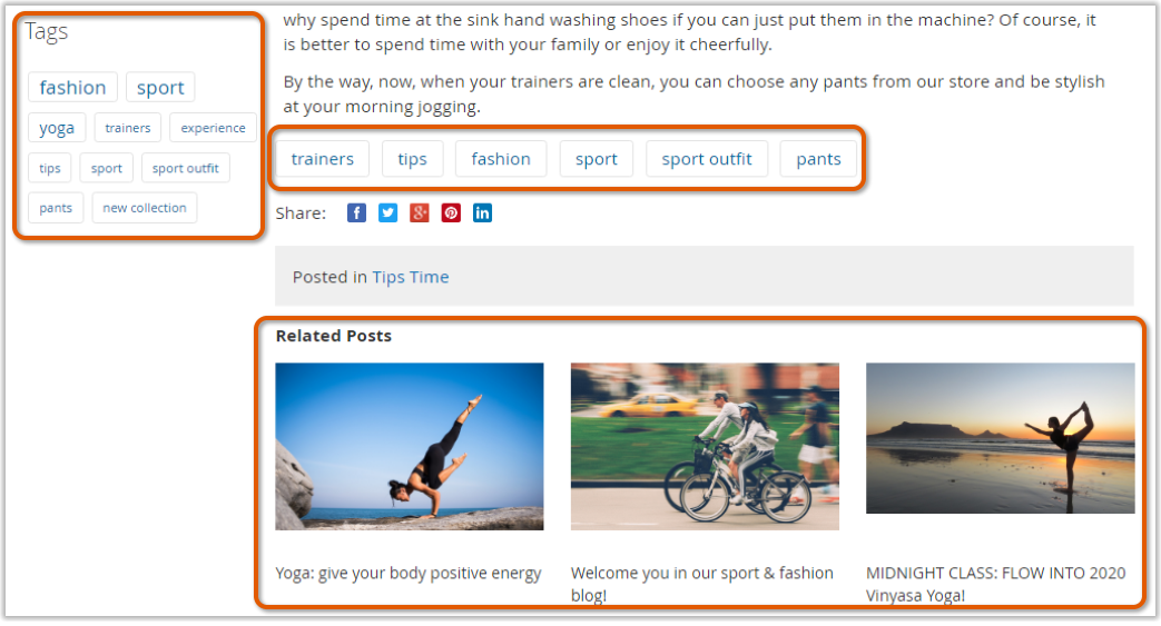 Magento 2 Blog tags